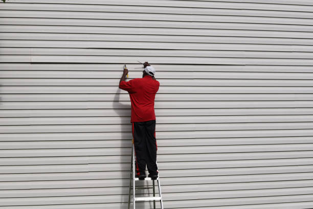 Best Fiber Cement Siding Installation  in Lomita, CA