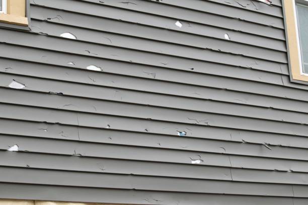 Best Stucco Siding  in Lomita, CA