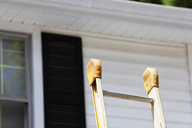 Best Engineered Wood Siding  in Lomita, CA