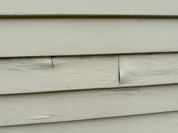 Siding Removal and Disposal in Lomita, CA